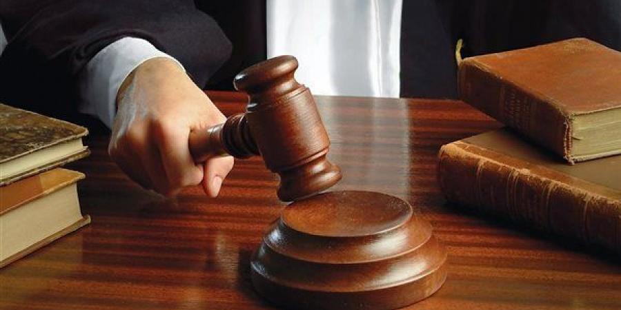 من بلاغ اختفاء إلى قرار الإعدام، تفاصيل جريمة هزت المنيا