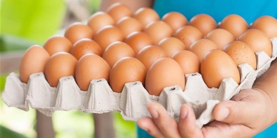 الأبيض يبدأ من 74 جنيها، سعر كرتونة البيض اليوم الثلاثاء ببورصة الدواجن