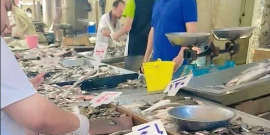 حملات مكثفة على أسواق السمك في دمياط ورأس البر