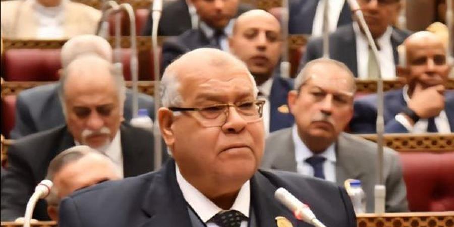 ناجى الشهابى: الصناعة قضية أمن قومي وأساس الاستقلال الوطني
