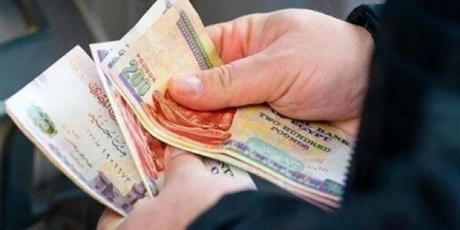 وزير المالية: بدء صرف المرتبات بالزيادة الجديدة للعاملين بالدولة 20 يوليو