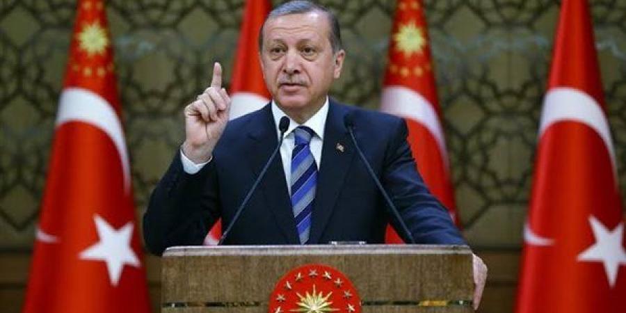 أردوغان: مستعدون لعملية إزالة الألغام من مضيق هرمز