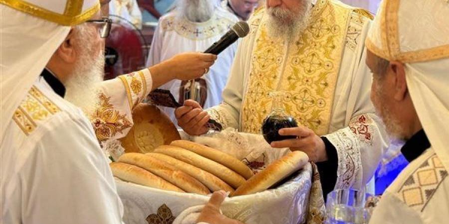 الأنبا إيلاريون يرسم 33 شماسا للخدمة في ايبارشية البحيرة