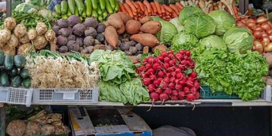 سعر الخضار اليوم، انخفاض 9 أصناف منهم البصل والفلفل والخيار