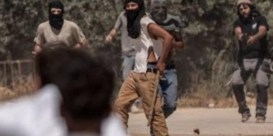 مستوطنون يهاجمون مساكن المواطنين ويسرقون ماشية جنوب الخليل
