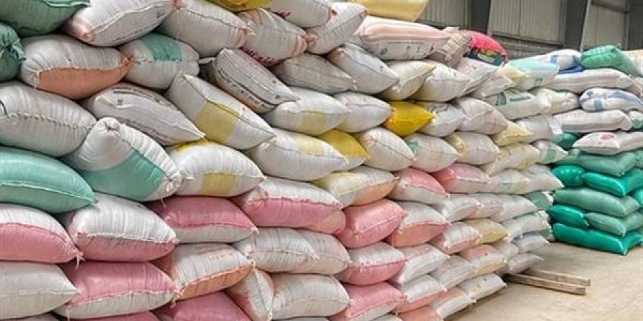 إهمال يهدد القمح، إحالة أمين عهدة مخزن مطوبس للنيابة بكفر الشيخ (صور)