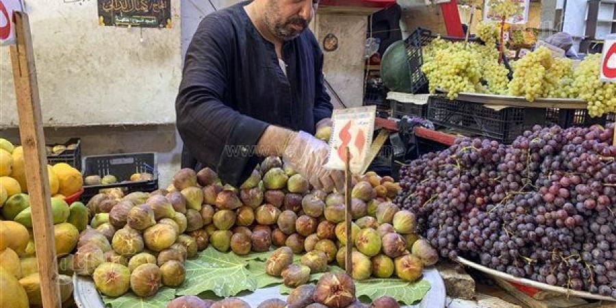 التين.. الثمرة التي سبقت القمح والذرة وأقسم بها القرآن وقدّسها الفراعنة (صور)