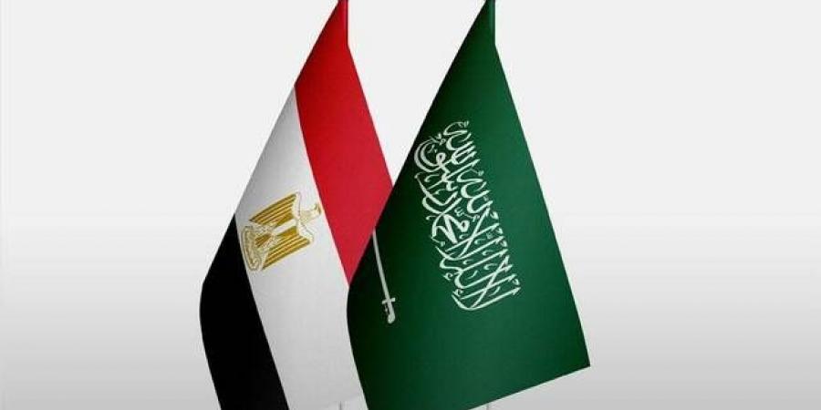 مصر تدين هجمات المسيّرات على السعودية وتطالب بوقف الاعتداءات فورًا