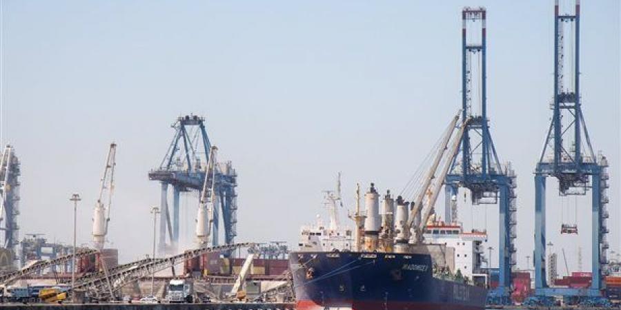 تصدير 23704 أطنان بضائع عبر ميناء دمياط خلال 24 ساعة