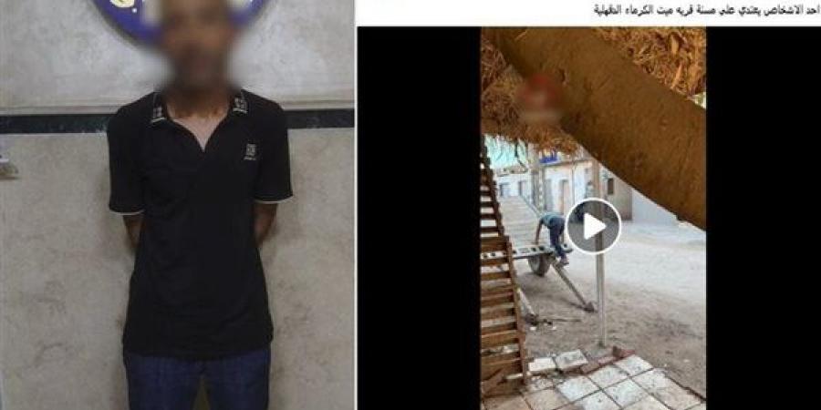 خلاف على قرض مالي ينتهي بإصابة سيدة سبعينية في طلخا والأمن يكشف كواليس الواقعة