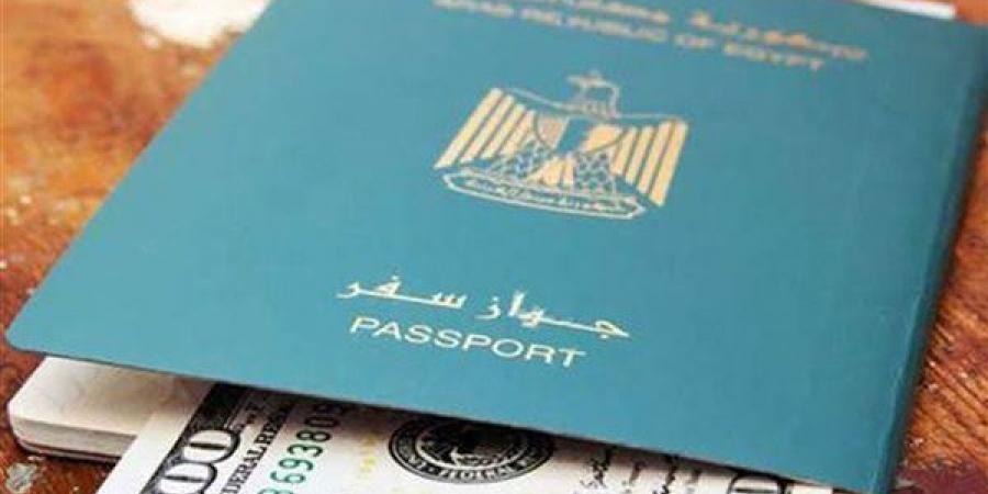 بالأسماء، وزير الداخلية يأذن لـ21 مصريا بالتجنس بجنسيات أجنبية