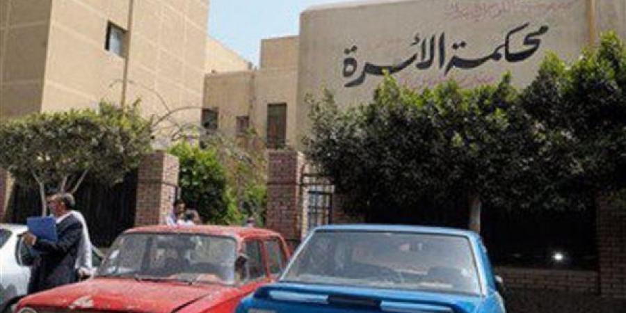 حكم قضائي يعيد صلة الأرحام، إلزام أم بتمكين الجد والجدة من رؤية حفيدهما