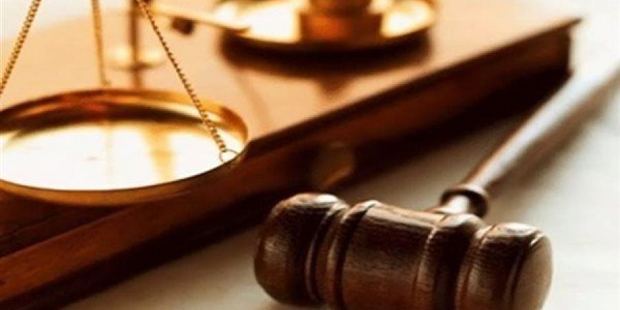 بعد الإعدام بسبب أولوية المرور، تأجيل استئناف قاتل شاب بشتيل لجلسة 13 سبتمبر
