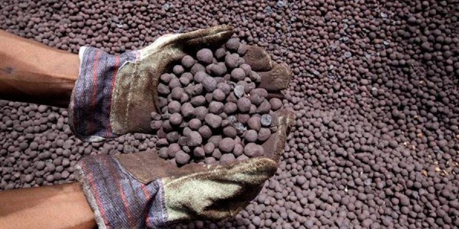 التنمية الصناعية تطرح 8 رخص جديدة لإنتاج البيليت