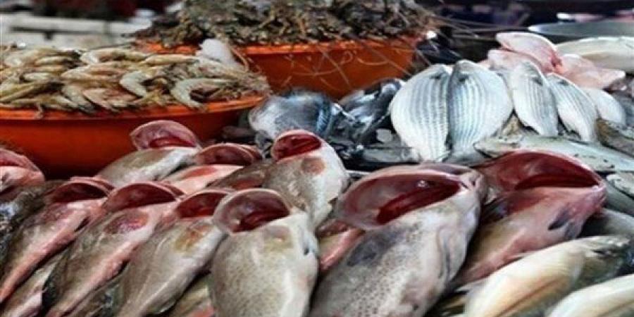 أسعار السمك اليوم، البلطي يسجل 72 جنيها "جملة" والبوري يغري المصريين