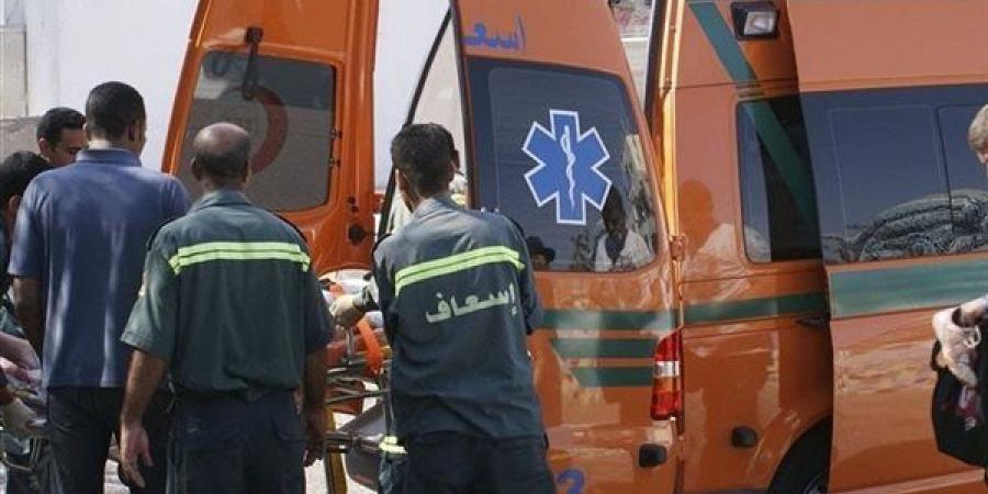 إصابة 3 أشخاص في انقلاب سيارة ملاكي بأرض زراعية أمام "شيوة" بالدقهلية