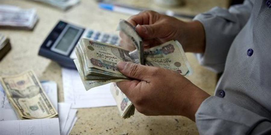 بسبب المعاش المبكر، حيثيات حكم قضائي بإنصاف موظف حكومي وتسوية مستحقاته التأمينية