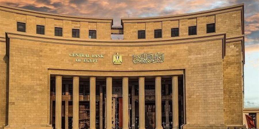 47.3 مليار دولار إجمالي تحويلات المصريين العاملين بالخارج خلال 2025 - 2026