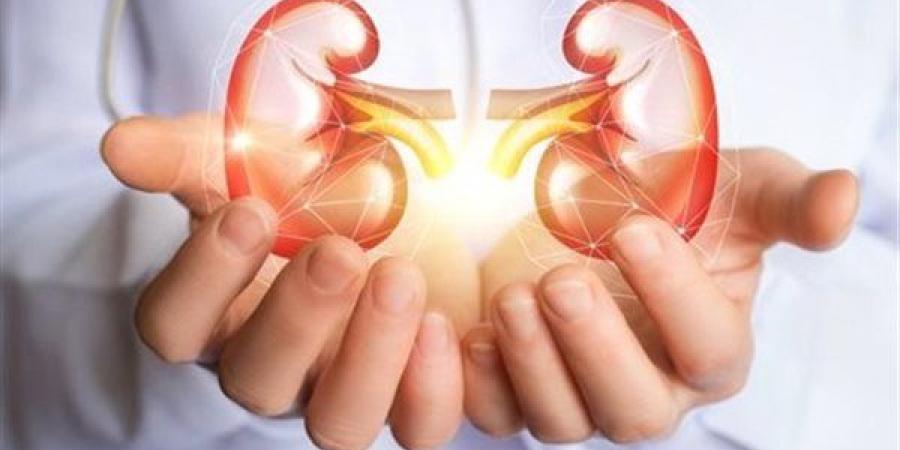 10 علامات تؤكد أن الكلى بصحة جيدة و9 نصائح للحفاظ عليها