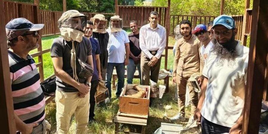 «الزراعة» تدرب المربين على تربية نحل العسل وتعظيم القيمة الاقتصادية للمنتجات النحلية