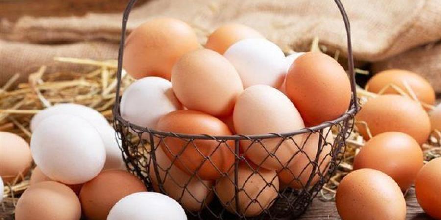 سعر كرتونة البيض اليوم الجمعة في بورصة الدواجن