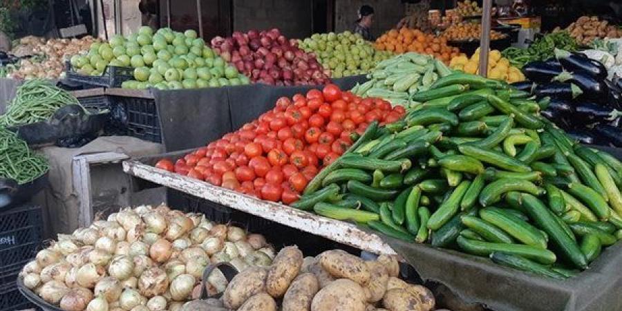 سعر الخضار اليوم السبت، ارتفاع 6 أصناف وانخفاض الخيار والليمون البلدي