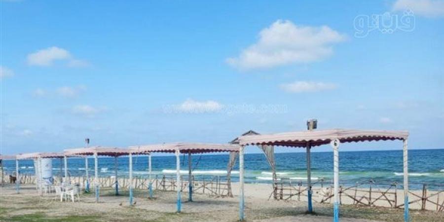 بعد مصرع سيدة في مشاجرة.. غلق شاطئ كناري بالعجمي وبدء إجراءات فسخ التعاقد