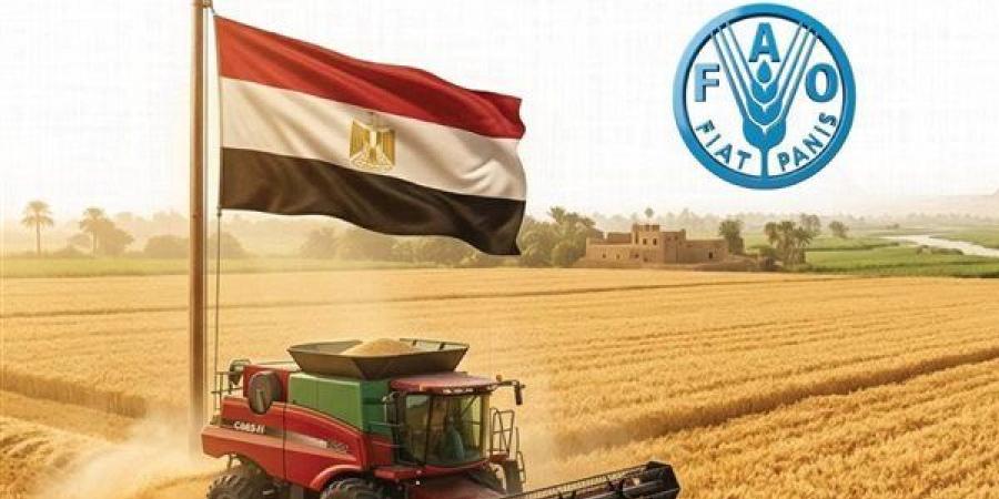 الوزراء: مصر الأولى عربيا في إنتاج القمح خلال 2026 (إنفوجراف)
