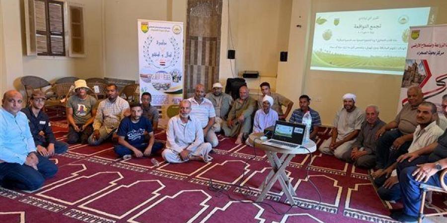 من تجمع النوافعة بسيناء، الزراعة تطلق العام الرابع لمبادرة «اسأل واستشير قبل ما تدفع كتير»
