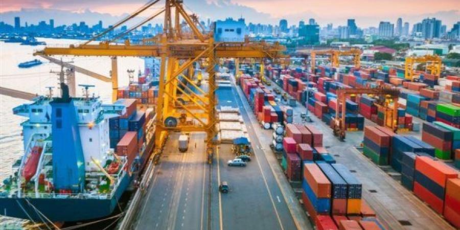 صادرات مصر الزراعية تقترب من 7 ملايين طن، الموالح في الصدارة والبطاطس بالمركز الثاني