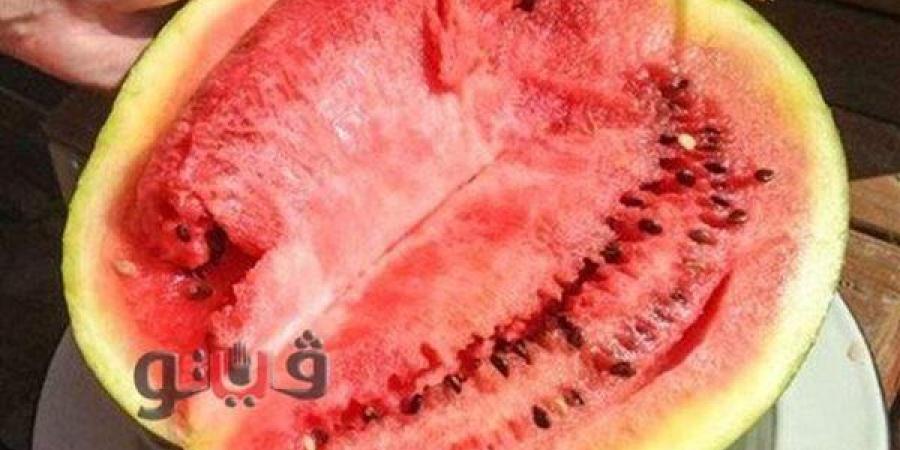 نقيب الفلاحين: «البطيخ السنة دي ميتاكلش والموسم انضرب» وتقاوي جديدة تحت المجهر