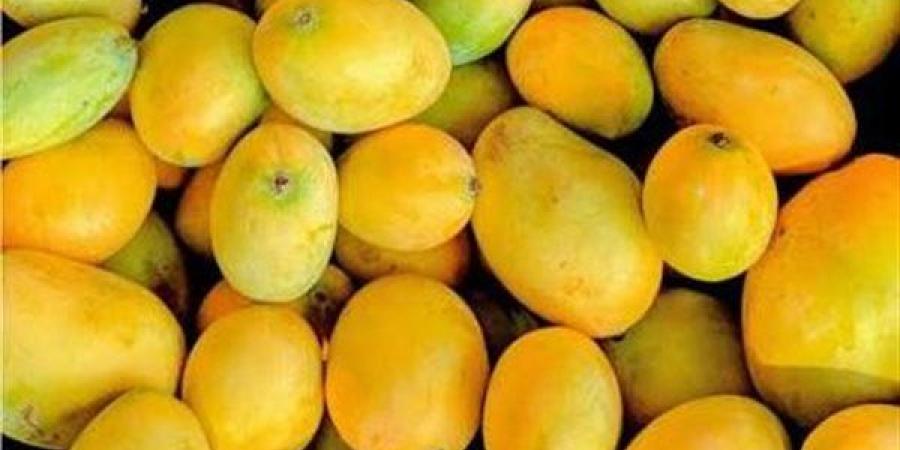 تفسير رؤية المانجو الصفراء في المنام وعلاقتها بتحسن الأحوال الإقتصادية
